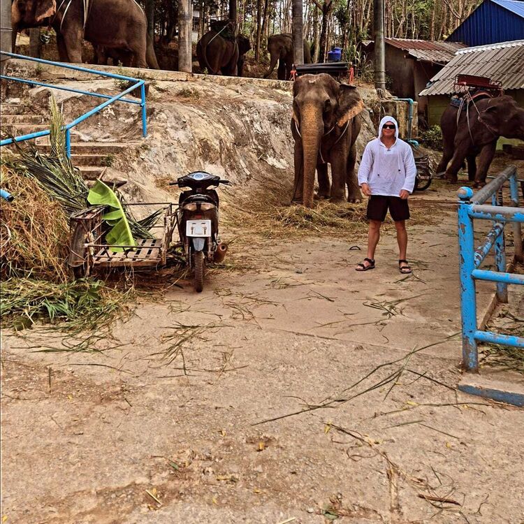 ���������� ���������, ���� ������� ������, 37 ���, ������������ ��� ������, ����� � ���������, ���������