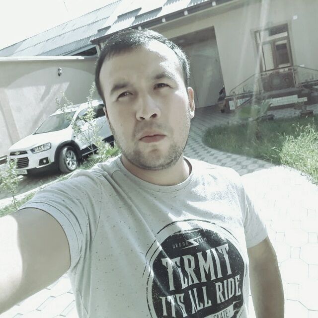  34768310  , 33 ,    