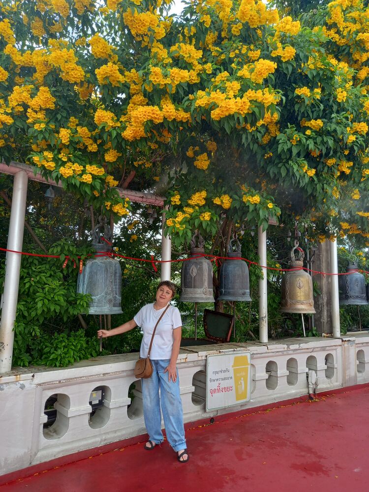  50613810  , 59 ,    -