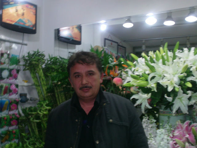  ,   , 53 ,  