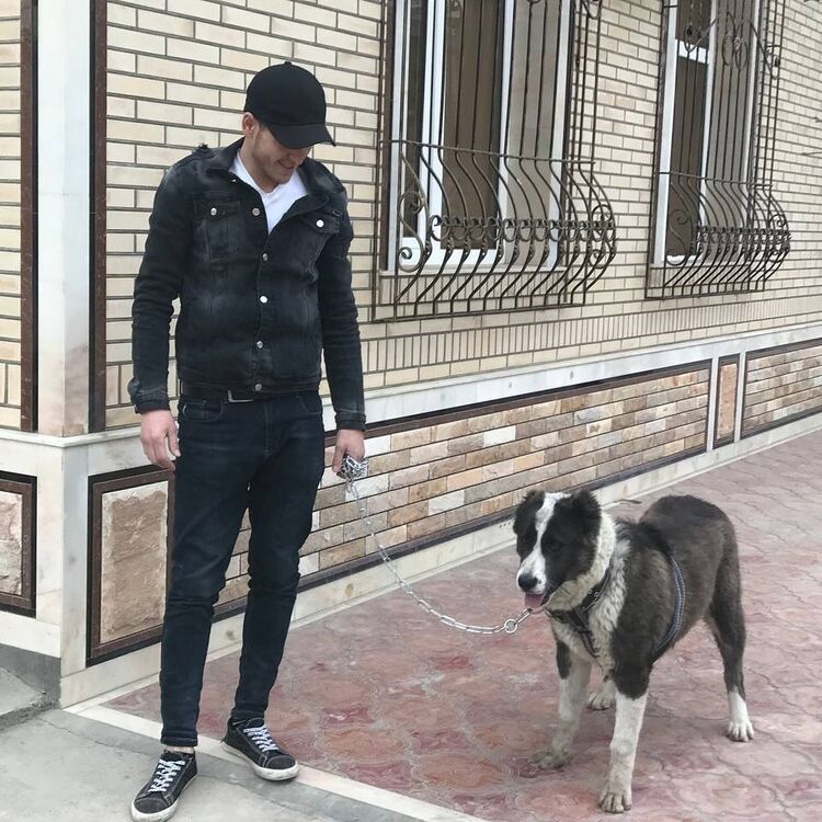 ���� 24194800 ������� �����, 27 ���, ���� ���������� � ������