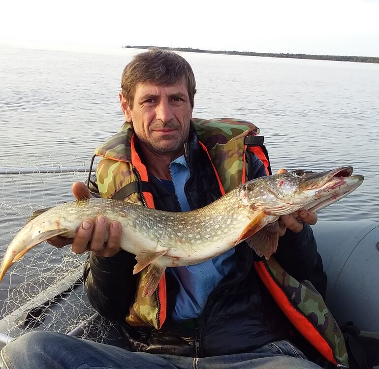 ���� 54804560 ������� ���������, 49 ���, ���� ���������� � �����-����������