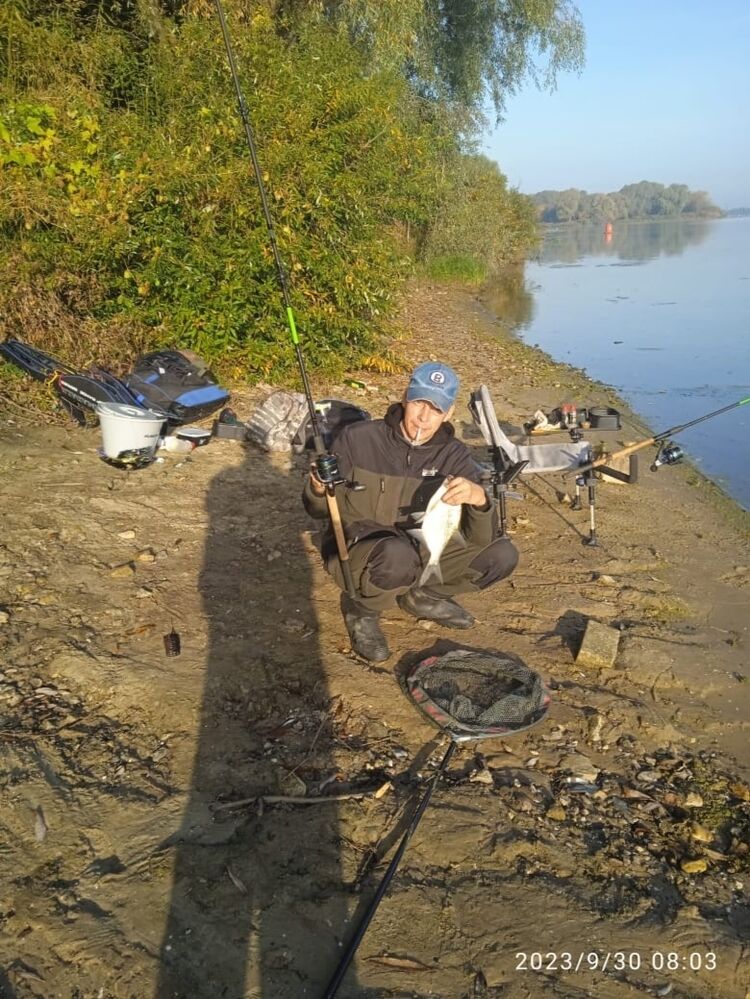 ���������� ������, ���� ������� ������, 40 ���, ������������ ��� ����� � ���������, c�������� ���������