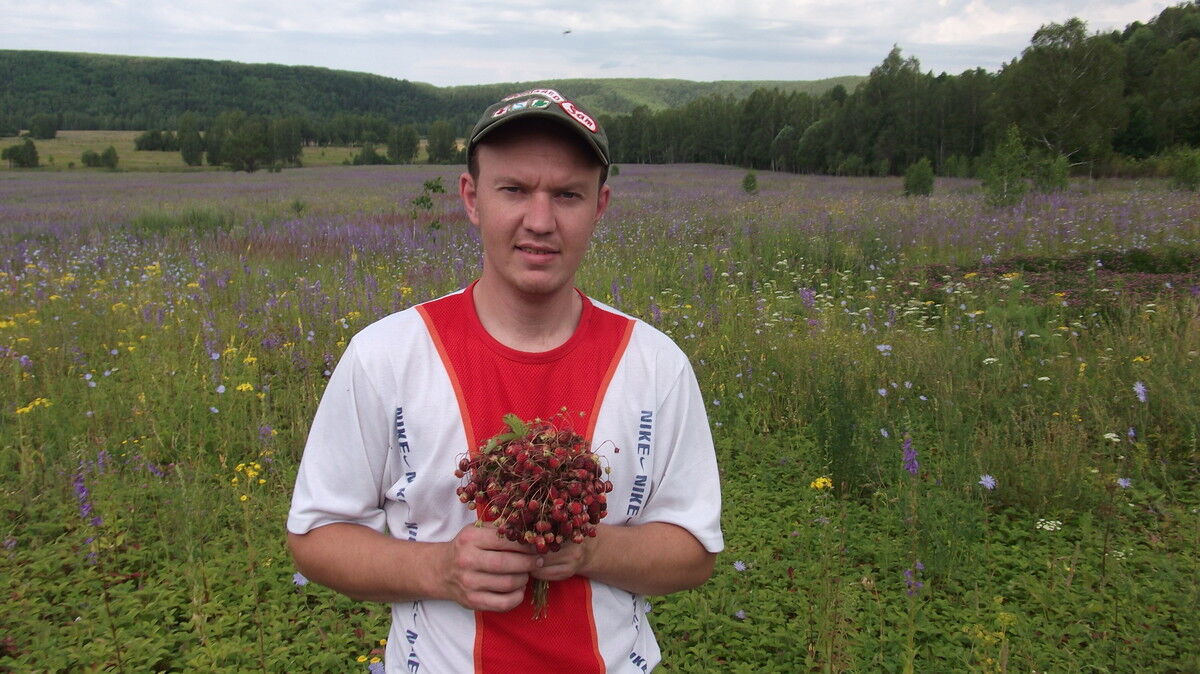 ���� 5379830 ������� C���, 44 ����, ���� ���������� � �������������