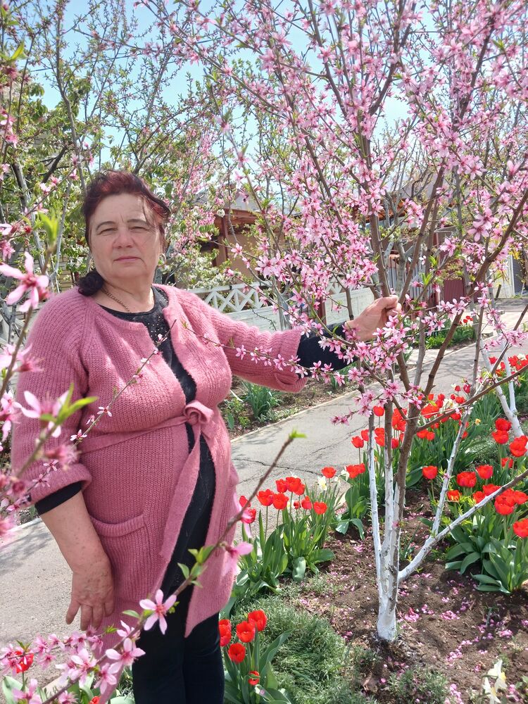 ���� 49021990 ������� �������, 65 ���, ���� ���������� � �������