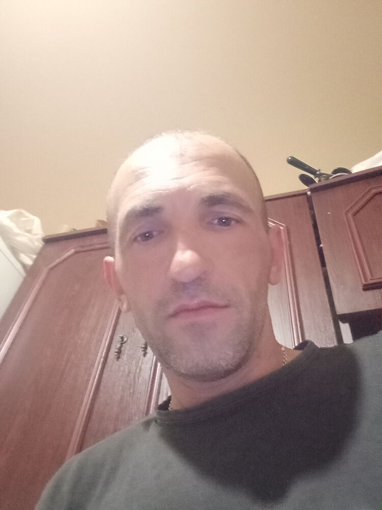  43965780  , 41 ,    