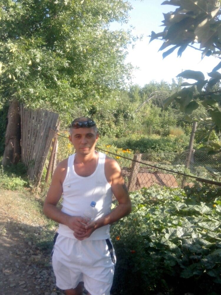 ���������� ����, ���� ������� ���� ������, 43 ����, ������������ 