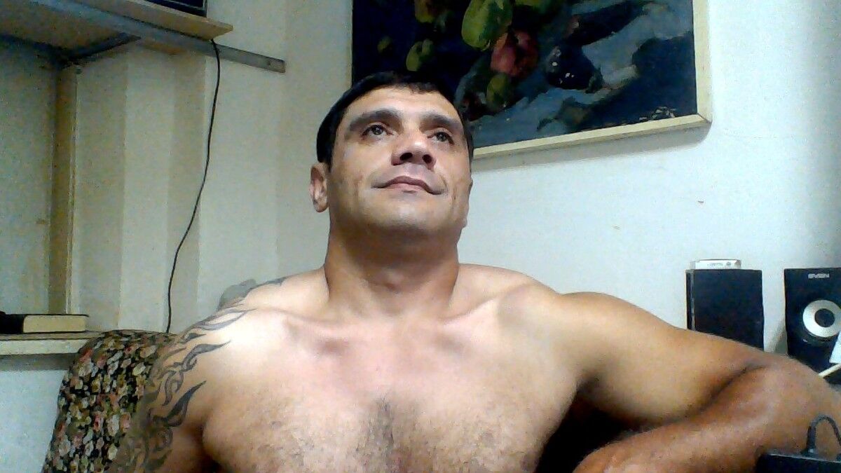  4495640  , 45 ,    
