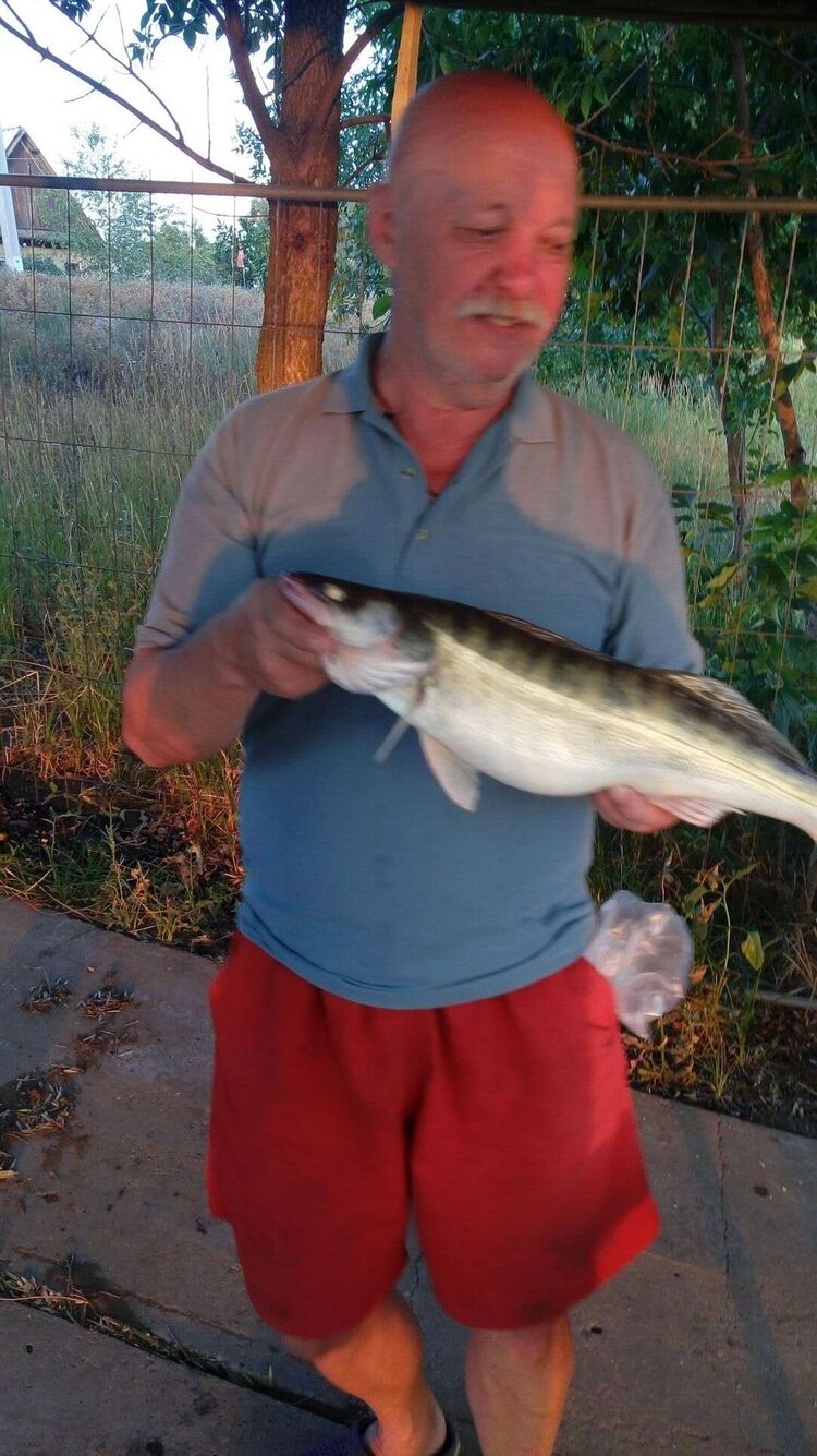 ���� 25343180 ������� ��������, 67 ���, ���� ���������� � ������