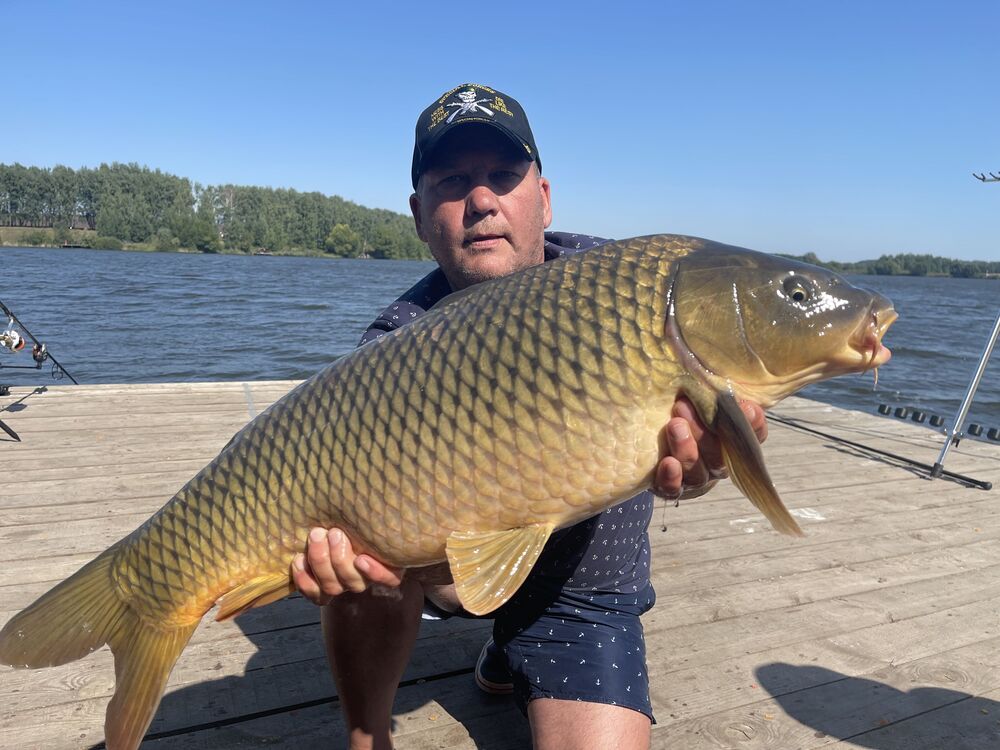 ���������� ������, ���� ������� �������, 58 ���, ������������ ��� ������, ����� � ���������