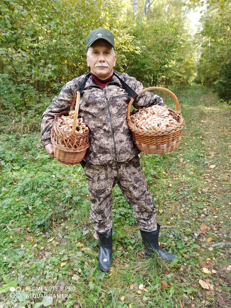  ,   , 56 ,   ,   