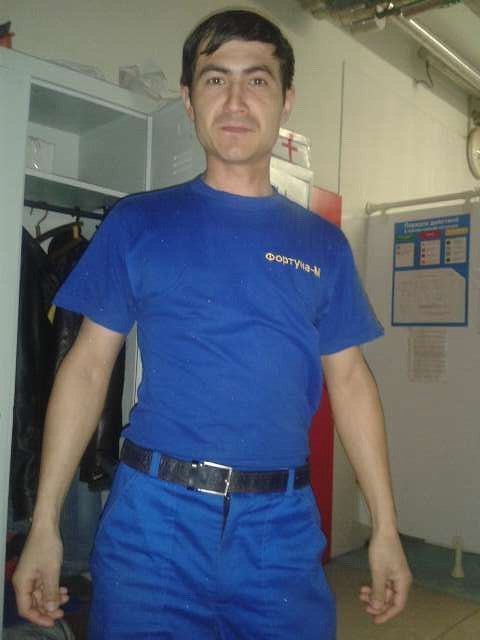  31264240  , 38 ,    