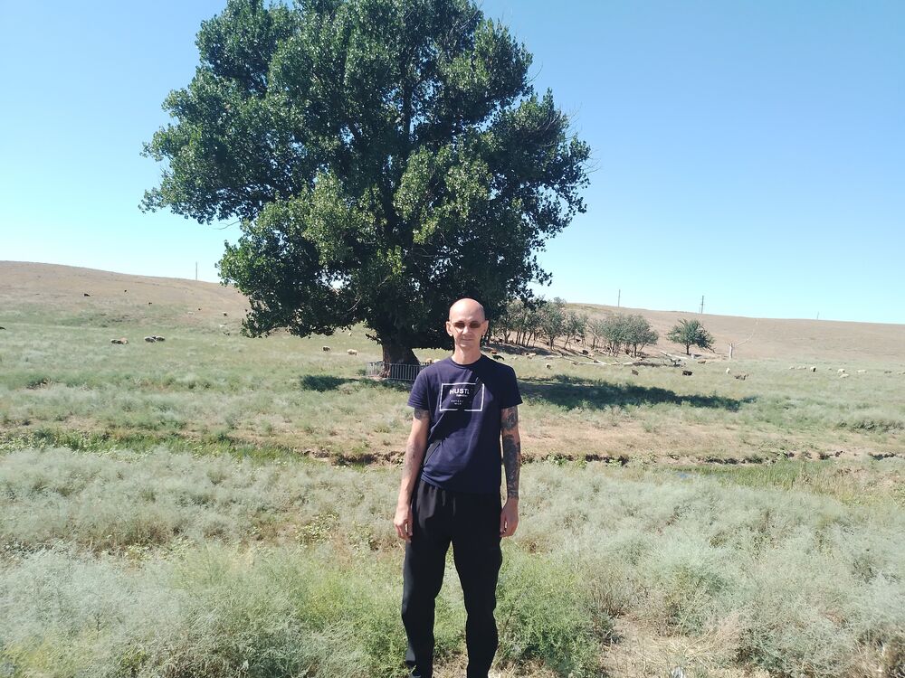  -,   , 48 ,   ,   