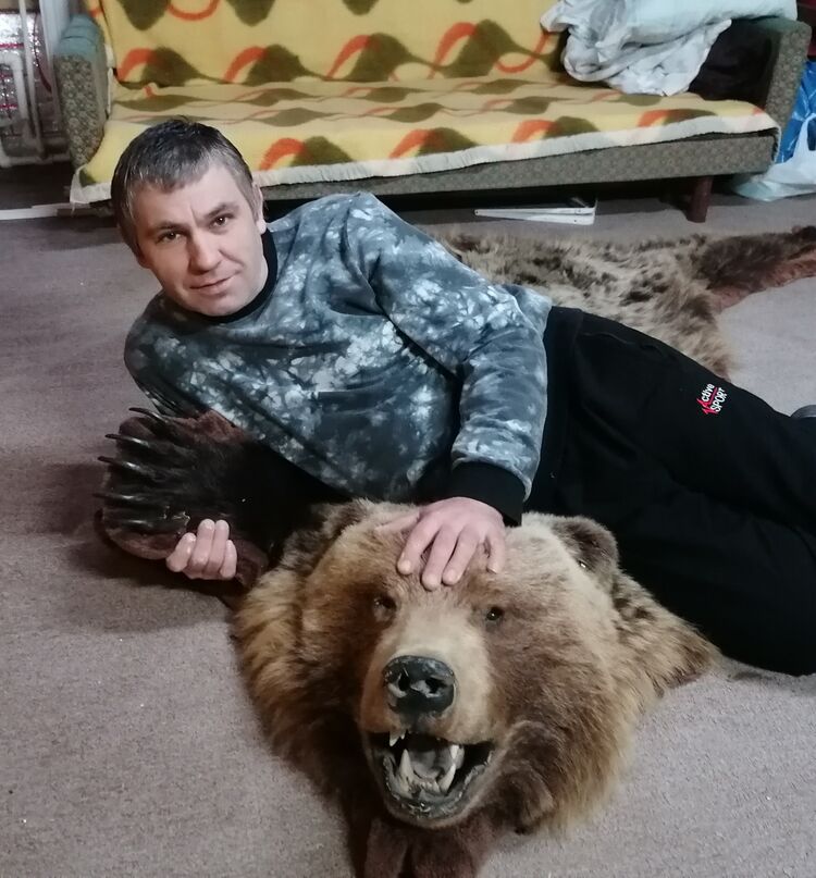  53786740  , 47 ,    -