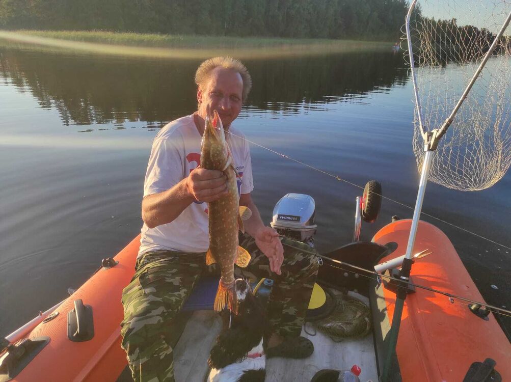 ���� 40531750 ������� �����, 46 ���, ���� ���������� � �����-����������