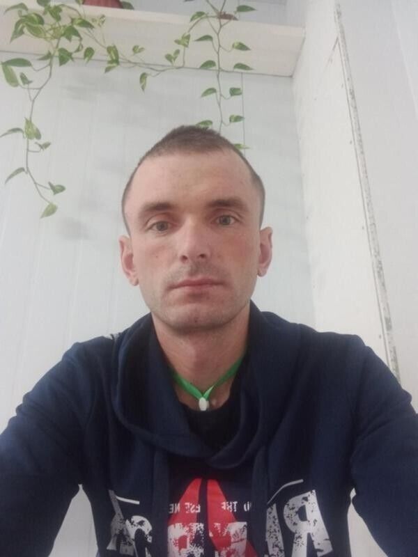  31338900  , 38 ,    