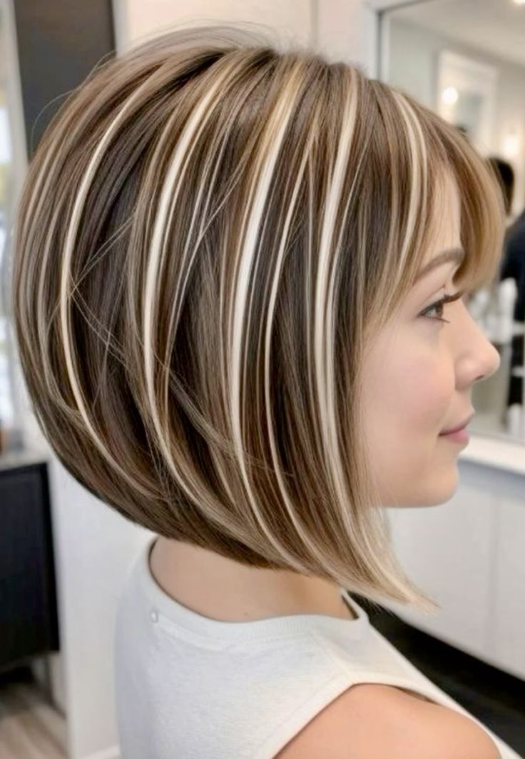 ���� 55604540 ������� ��, 56 ���, ���� ���������� � ���������