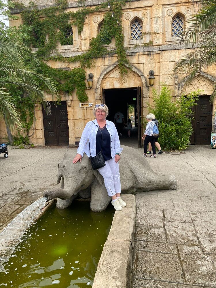  50331900  , 55 ,    Adelebsen