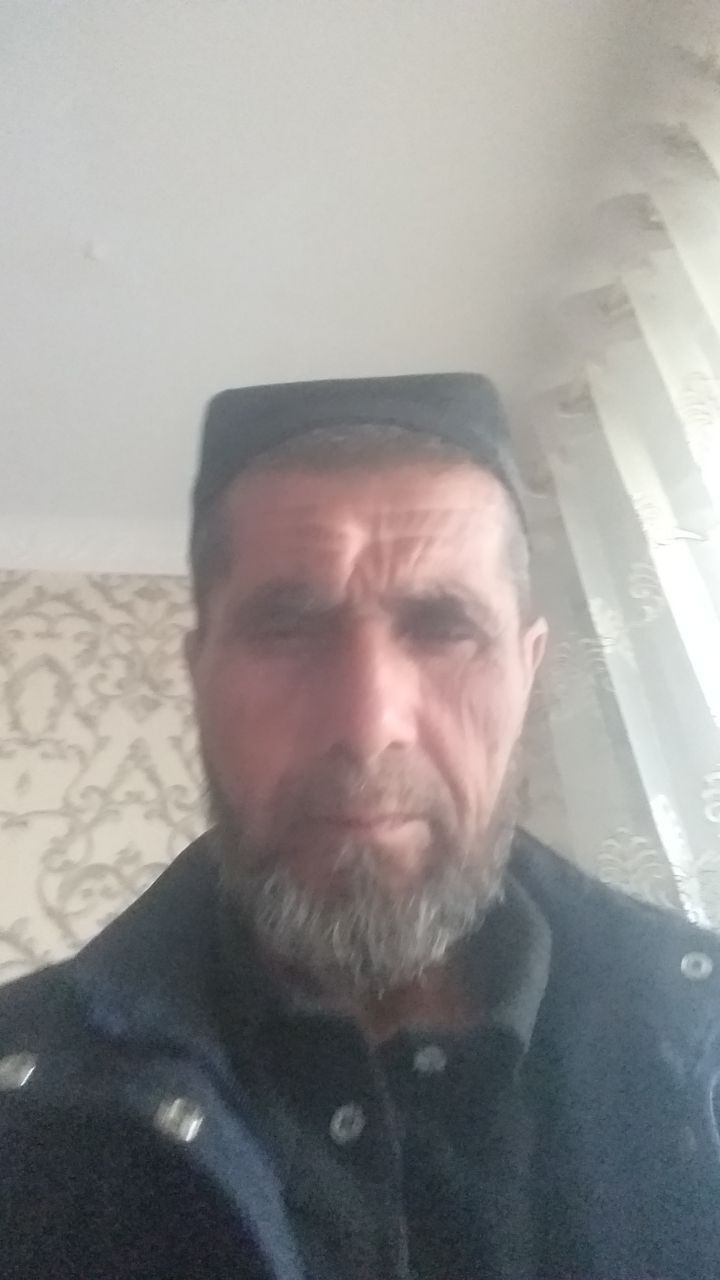  33544590  , 61 ,    