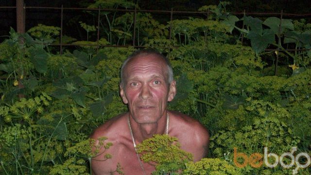  ,   C, 65 ,   