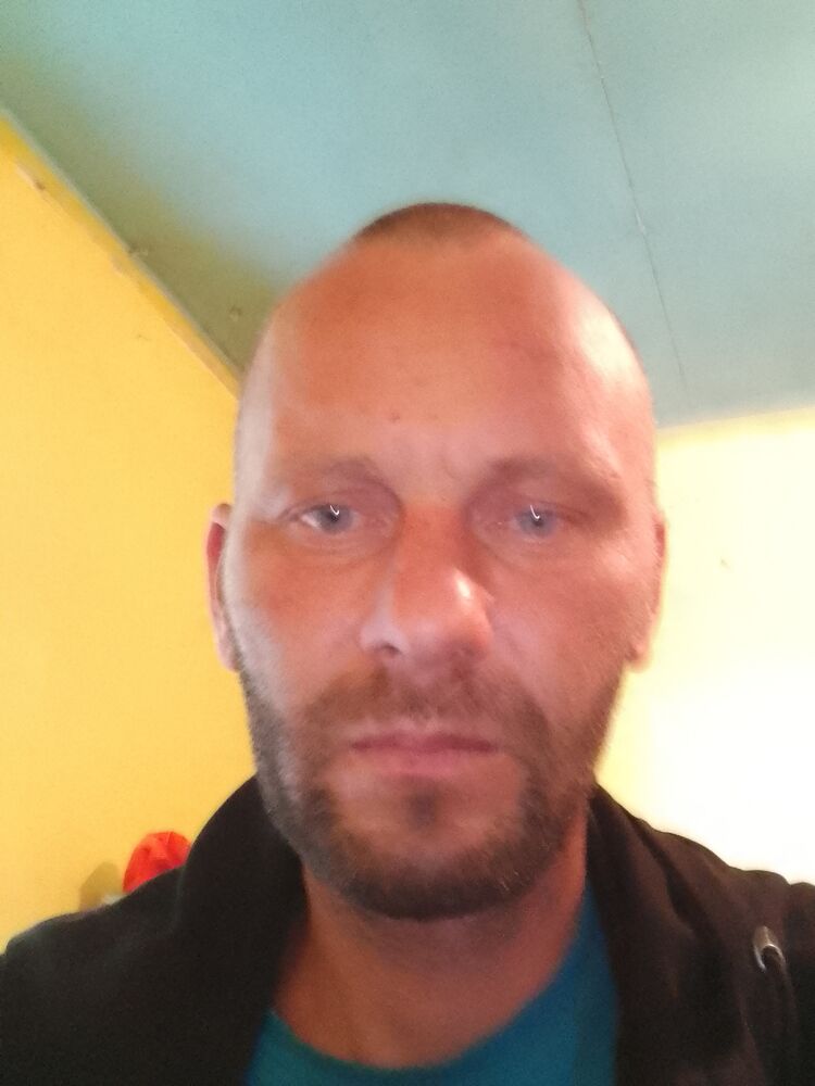  43767200  , 38 ,    