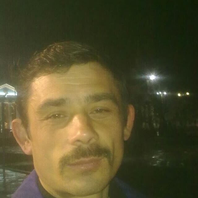  9565340  , 44 ,    
