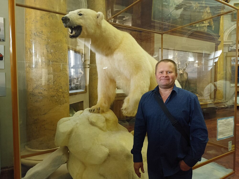 ���� 53664150 ������� �����, 46 ���, ���� ���������� � �������������