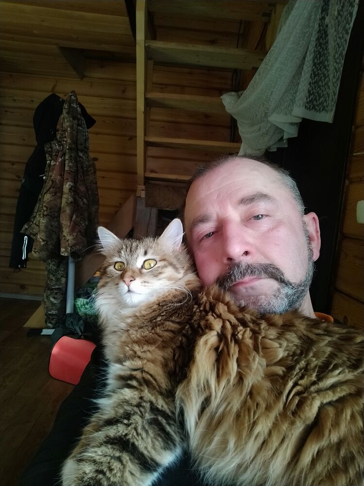 ���� 33535580 ������� ������, 54 ����, ���� ���������� � �����������