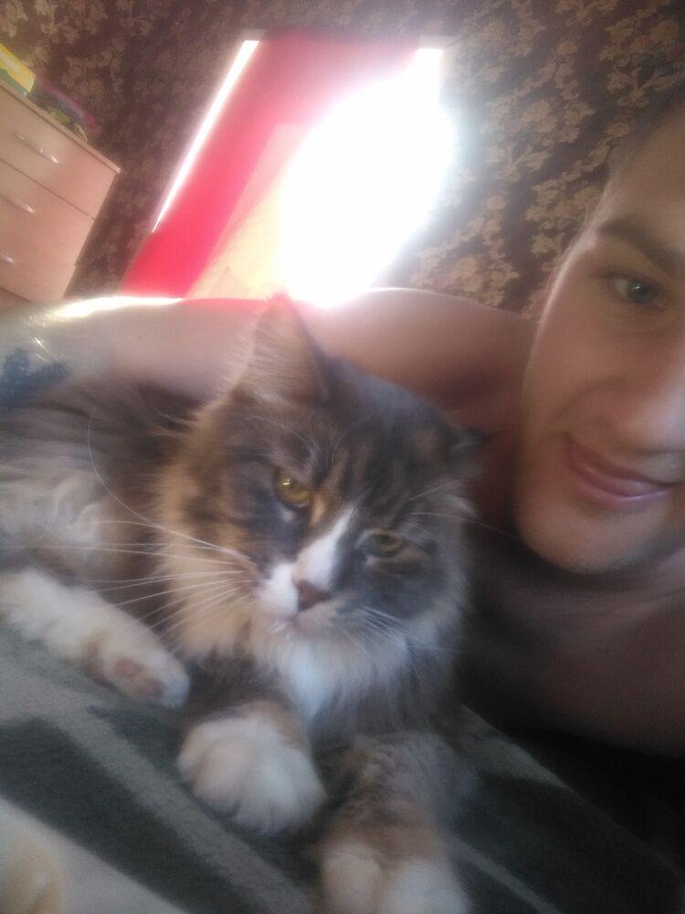 ���� 33749450 ������� ������, 26 ���, ���� ���������� � ������������