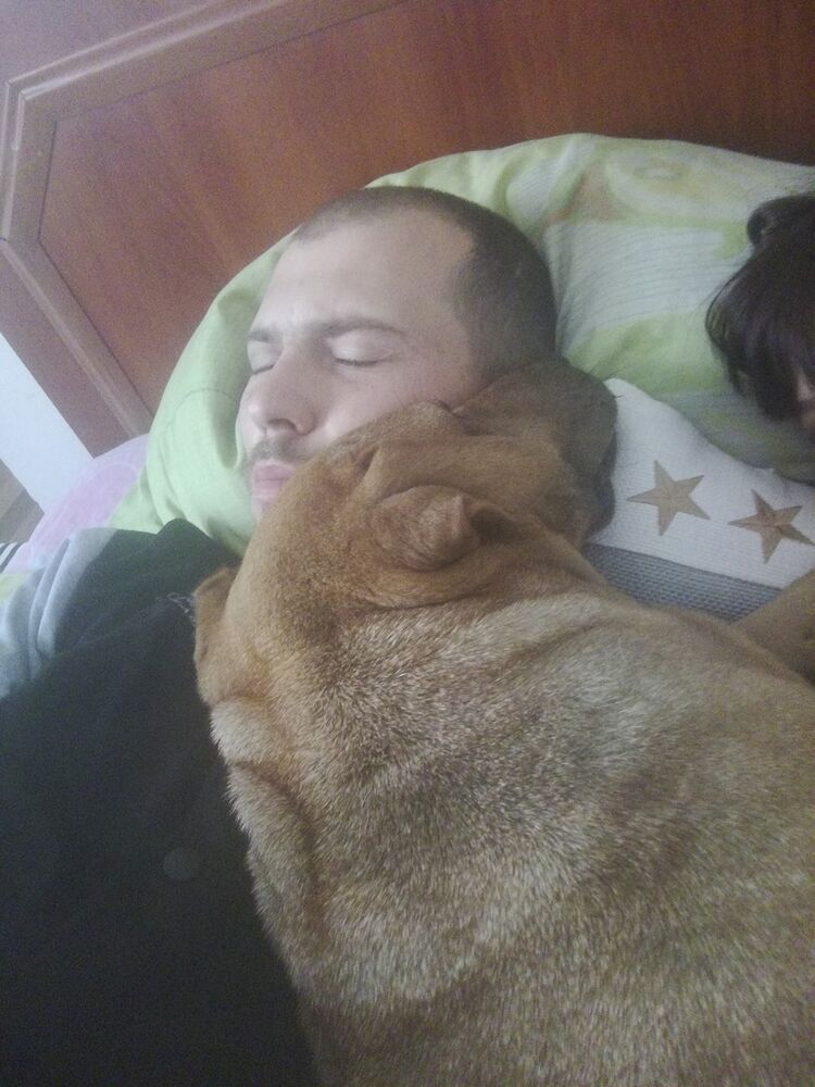  ,   , 37 ,     , c 