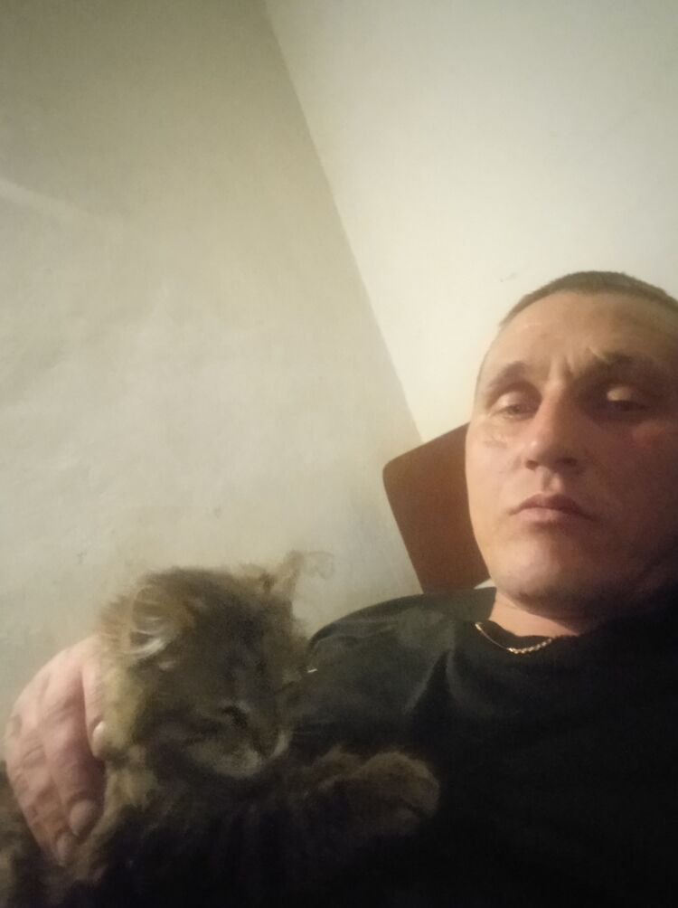 ���� 51182750 ������� �������, 36 ���, ���� ���������� � ������