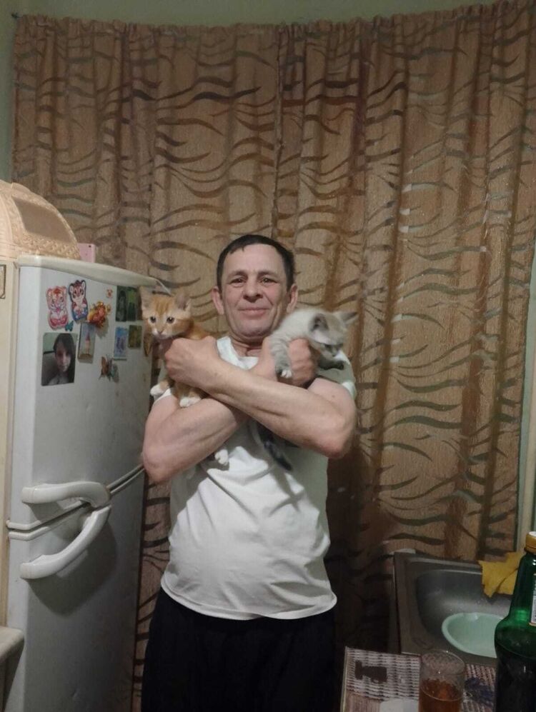  52764880  , 48 ,    -