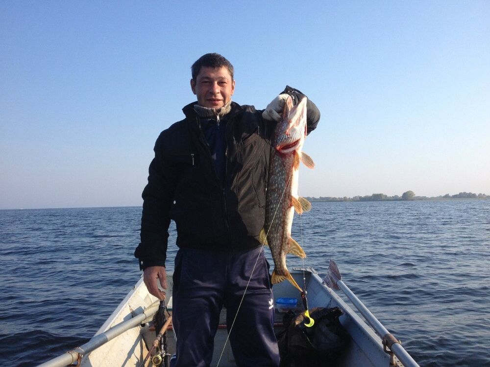  ,   Rafael, 45 ,   ,   , c 