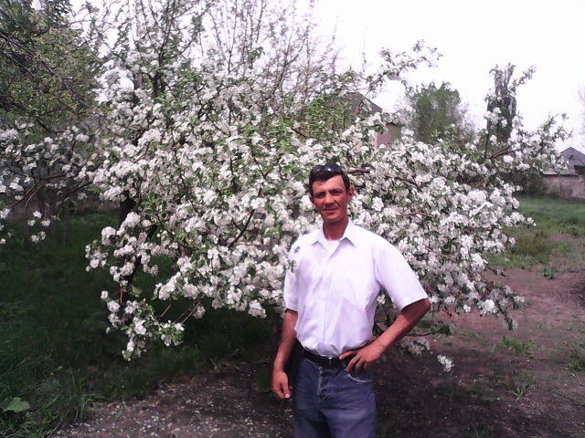 ���� 6826910 ������� ���������, 45 ���, ���� ���������� � ������