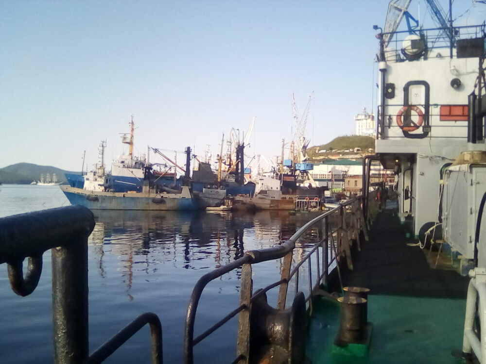 ���������� ����, ���� ������� �����, 34 ����, ������������ ��� ������, ����� � ���������