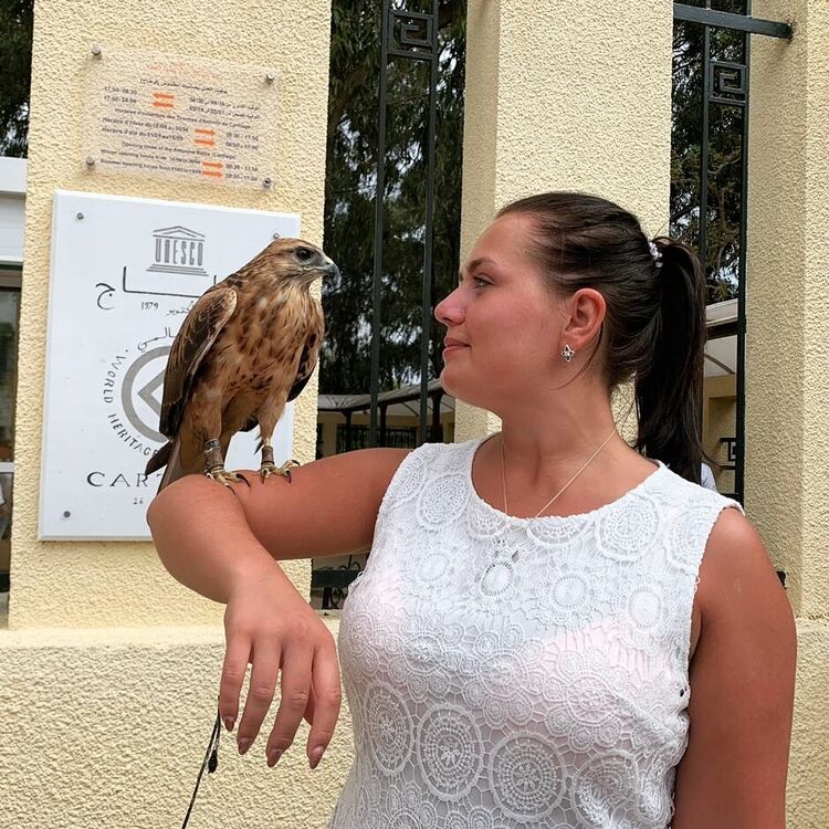 ���������� �����-���������, ���� ������� �����, 29 ���, ������������ ��� ���������