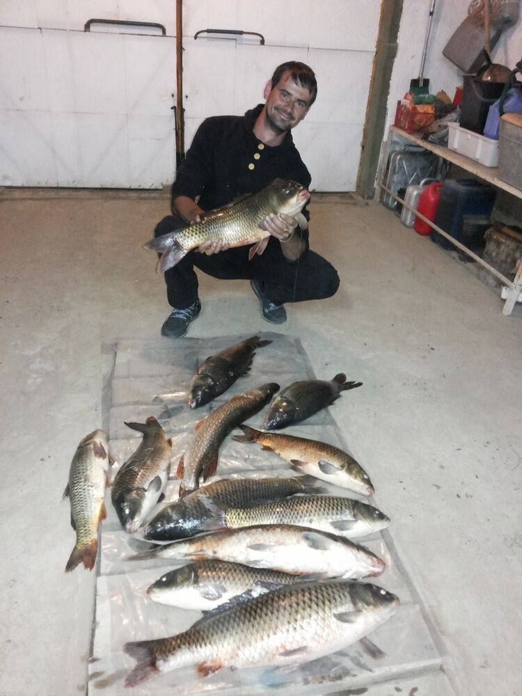  19838970  , 40 ,    