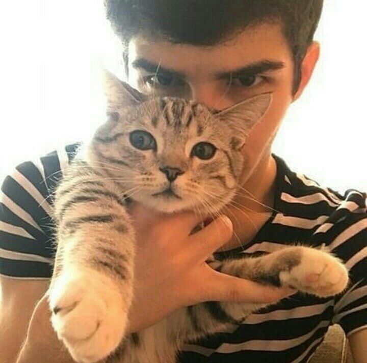 ���� 40981550 ������� ���, 28 ���, ���� ���������� � ������