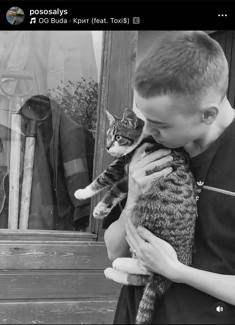 ���������� ������������, ���� ����� ������, 22 ����, ������������ ��� ������, ����� � ���������