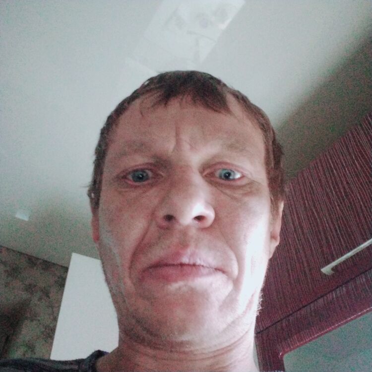 ���� 31642110 ������� ����, 42 ����, ���� ���������� � �������������