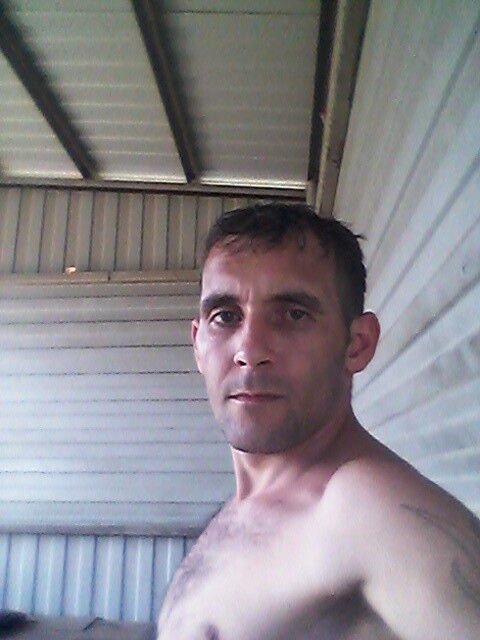  7712040  , 38 ,    