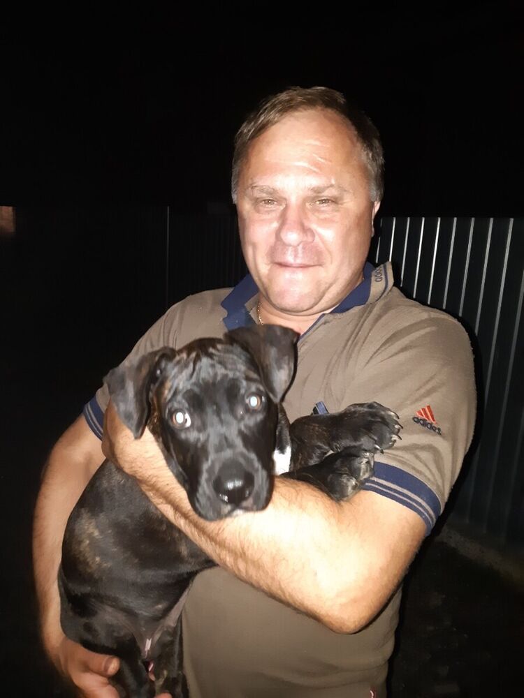 ���� 20632980 ������� �������, 53 ����, ���� ���������� � ������