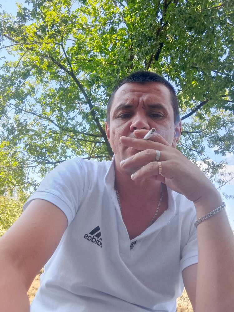  53366800  , 36 ,    
