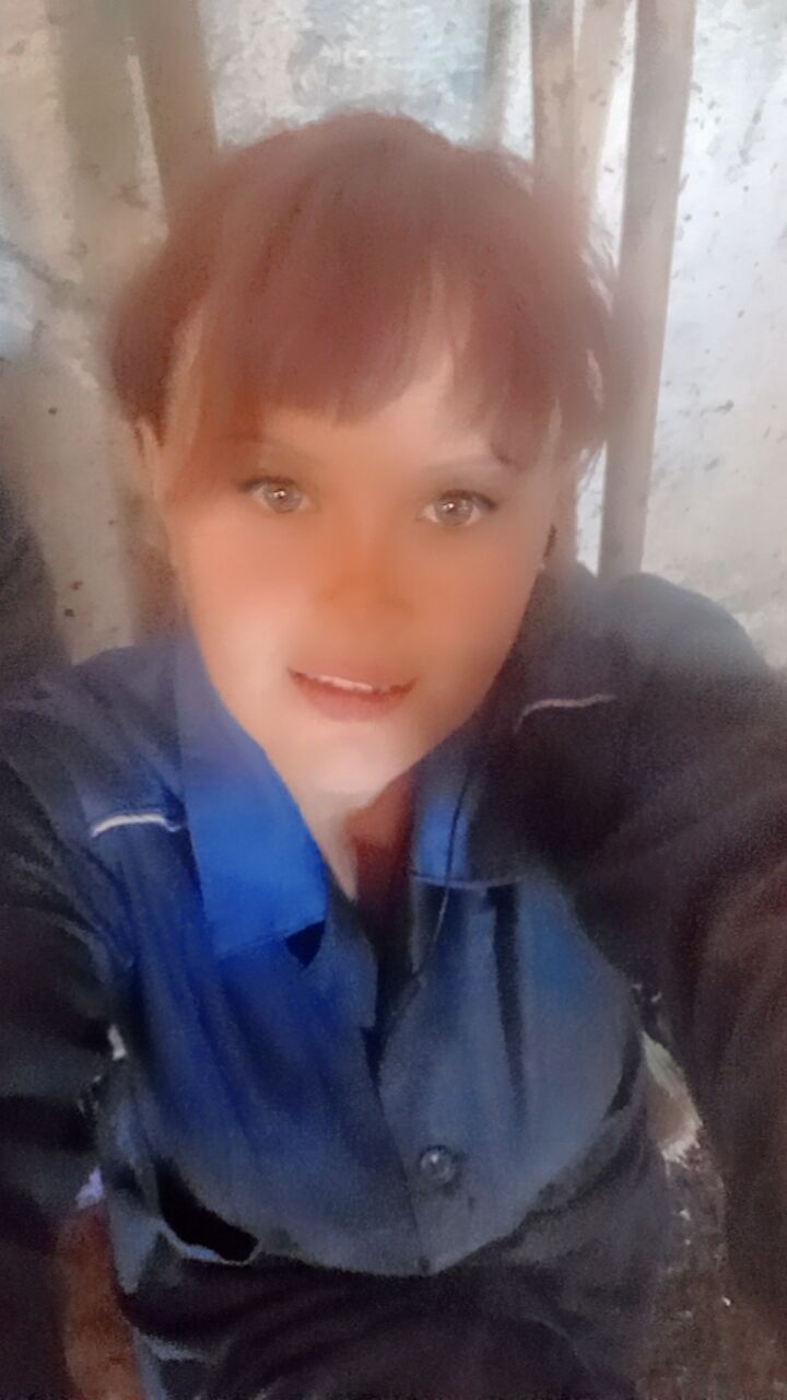  53538010  , 30 ,    
