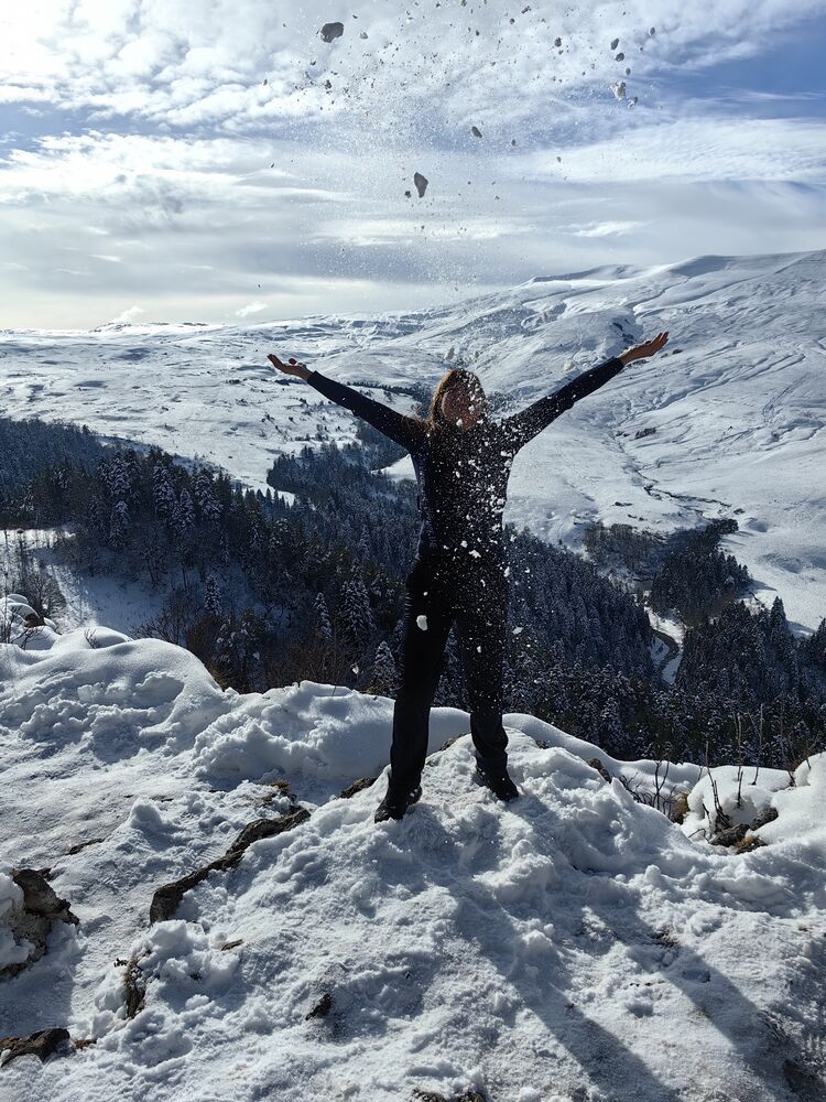 ���������� ����������, ���� ������� ��������, 40 ���, ������������ ��� ���������