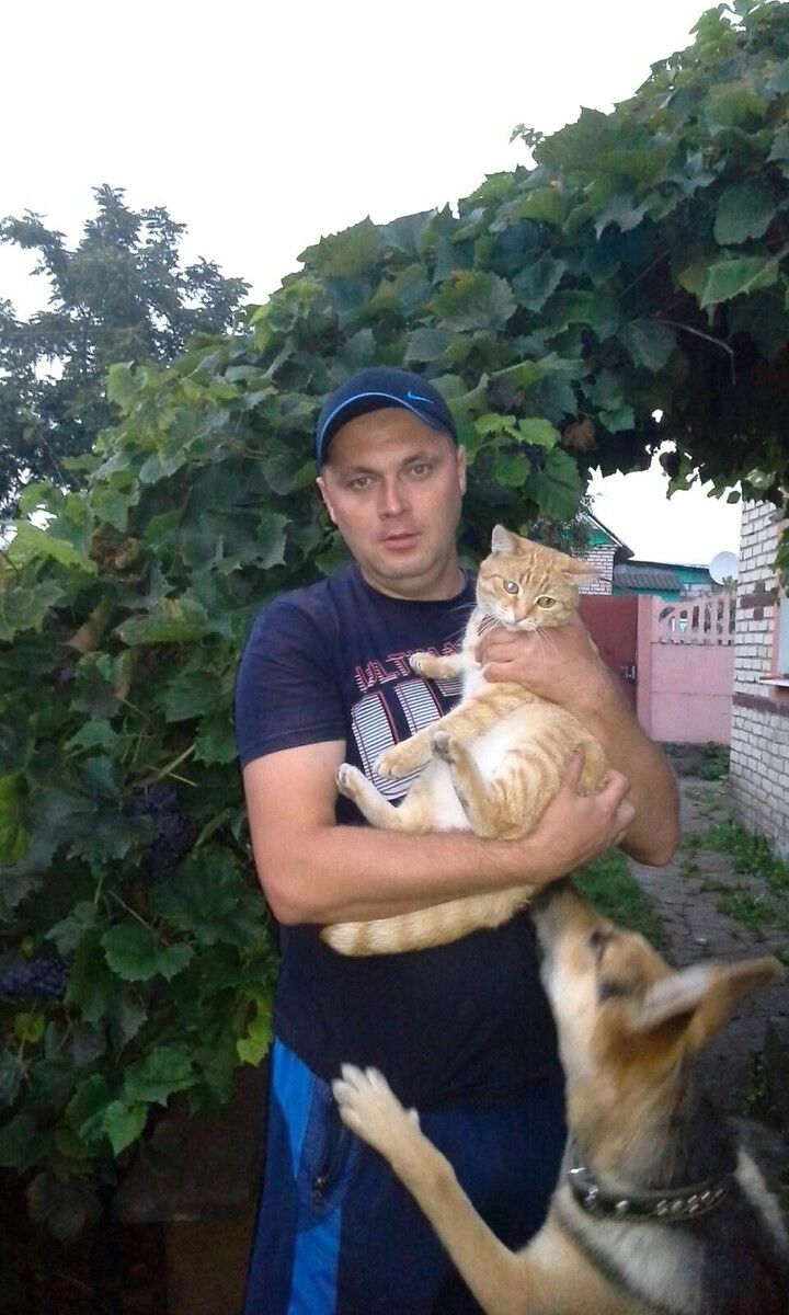 ���������� �������, ���� ������� �������, 38 ���, ������������ ��� ������, ����� � ���������, c�������� ���������