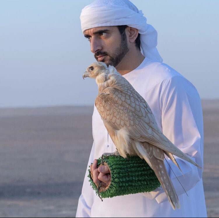 ���� 24028070 ������� Boxo, 30 ���, ���� ���������� � ��������