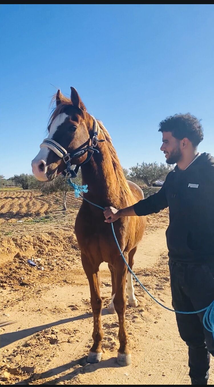 ���������� ������, ���� ����� Yassine, 19 ���, ������������ ��� ������, ����� � ���������