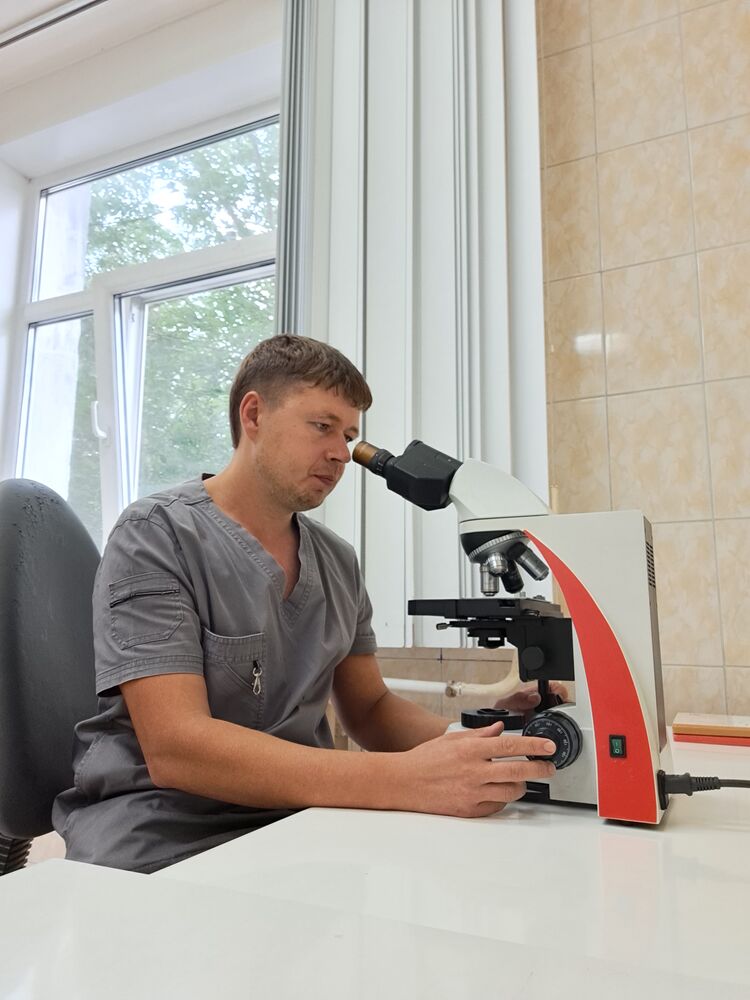 ���� 36335340 ������� ������, 35 ���, ���� ���������� � �������������