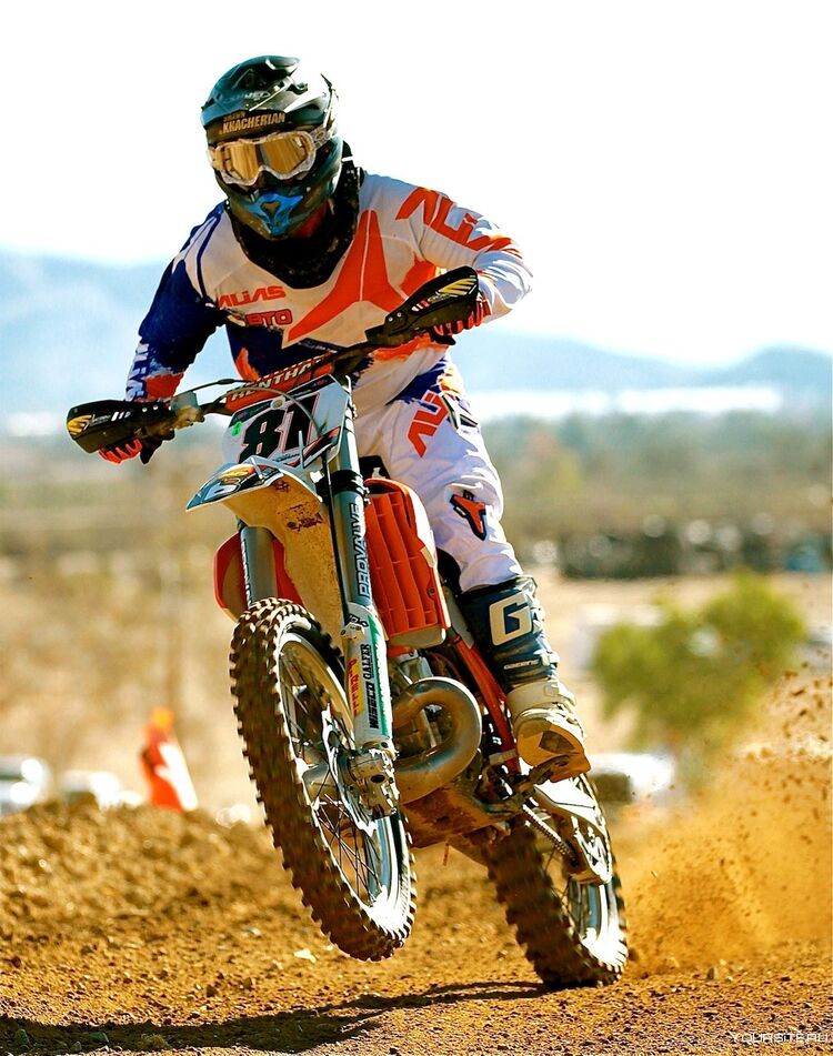 ���� 30538120 ������� ������, 42 ����, ���� ���������� � ��������